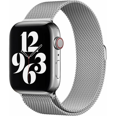 Eternico Elegance Milanese na Apple Watch 42 mm/44 mm/45 mm/Ultra 49 mm silver AET-AWMNS-si-42