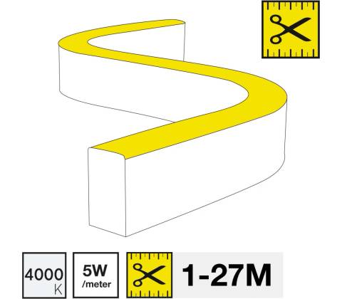 TLG SM16062