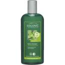 Šampóny Logona šampón pre mastné vlasy Medovka 250 ml