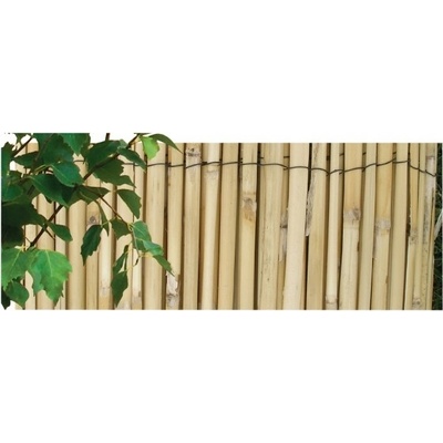Rohož/rákos št/ 2x5m/PLD/