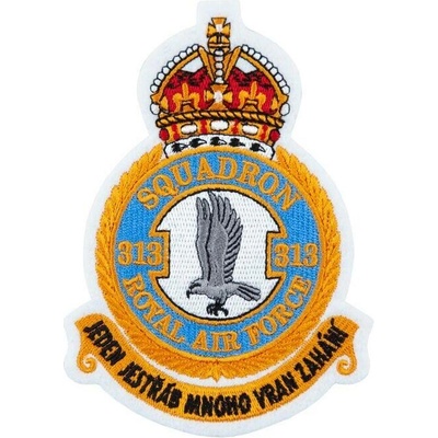 Nášivka: RAF 313. peruť