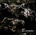 DEMONIZER: TRIUMPHATOR CD