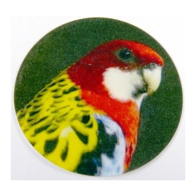 VIZINGR Rosela pestrá MAXI logo