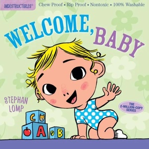 Indestructibles: Welcome, Baby | Amy Pixton, Stephan Lomp (ISBN: 9781523501236)