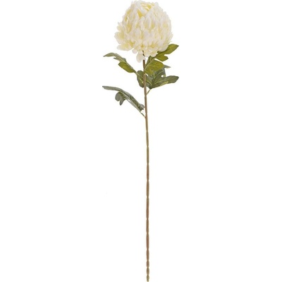 KS CHRYZANTÉMA BIELA 62CM