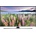 Samsung UE32J5572