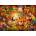 Schmidt Spiele - Puzzle Flowers, Fur and Feathers - 1 000 piese