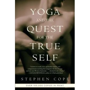 Yoga and the Quest for the True Self (ISBN: 9780553378351)