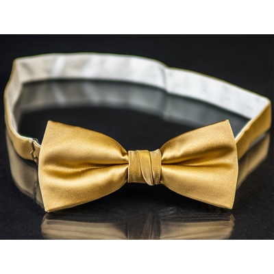 AMJ MP011 zlatá – Zboží Mobilmania