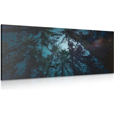 Obraz les pod noční oblohou - 80x40