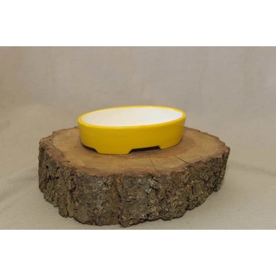 Yixing keramická miska Bílá 15 x 10 x 3,5 cm