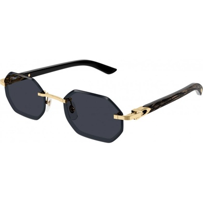 Cartier CT0439S 001