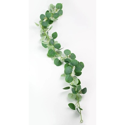 ZELEŇ ŤAHAČKA EUKALYPT 120CM