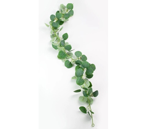 ZELEŇ ŤAHAČKA EUKALYPT 120CM