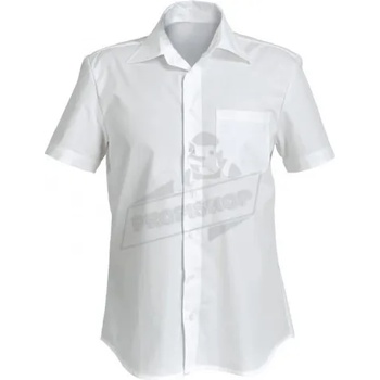 Image 1 of Paltex Мъжка риза с къс ръкав (310100)