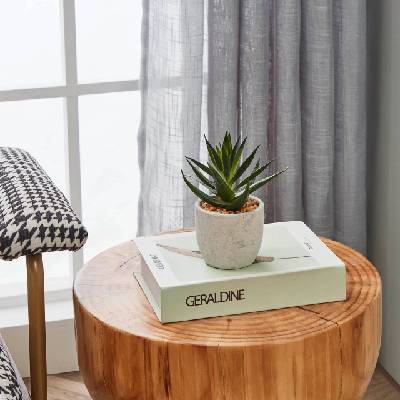 428012 - Изкуствено растение CHITOSE 15, 5x10 см, сукулент в саксия (EG428012)