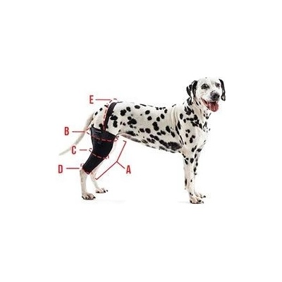 Kruuse Bandáž na koleno pro psa Rehab L Levá