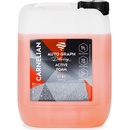 Auto Graph Detailing Carnelian Active Foam 5 l
