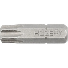 Högert Torx T30 25 mm 5ks HT1S341