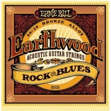 Ernie Ball 2008