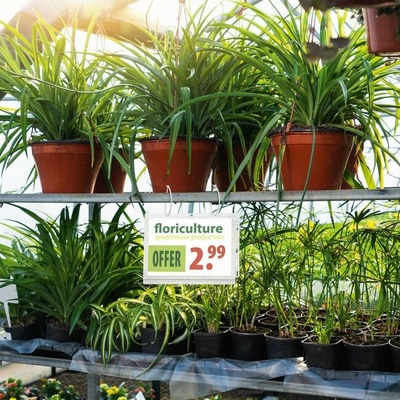 Informačný obal, vodeodolný, upevniteľný pomocou sťahovacej pásky na káble, A5, DURABLE