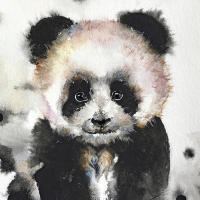 Obraz na plátne Panda 30x30 cm