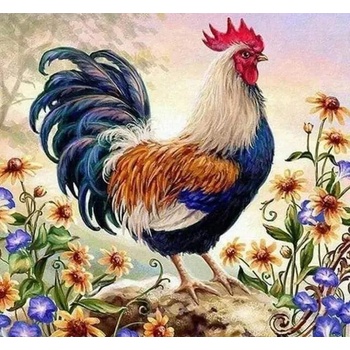 Norimpex - Puzzle Diamant painting: Rooster 30x40cm - 1 - 39 piese