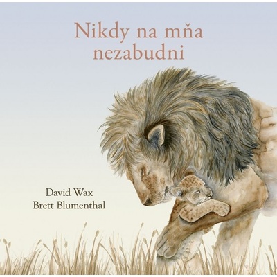 Nikdy na mňa nezabudni