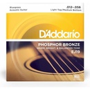 D'addario EJ19