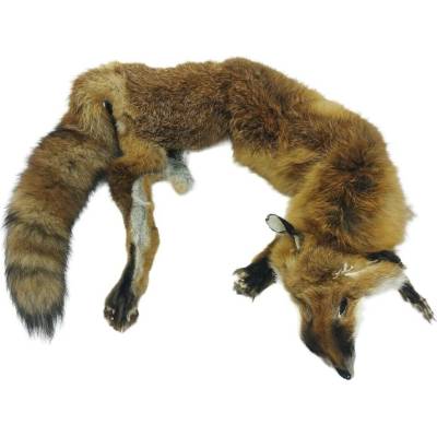 Bracco třídílný liščí aport celokožešinový- 6 kg, premium quality Váha: 6 kg