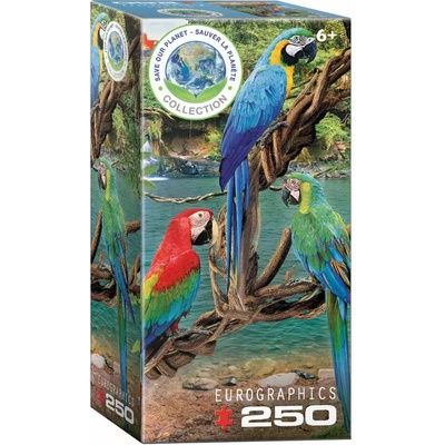 EUROGRAPHICS - Puzzle Macaws - 250 piese