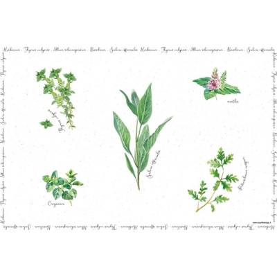 Easy Life Plastové prostírání Herbarium 45x30cm