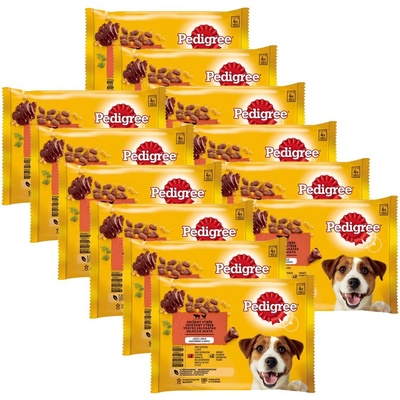 PEDIGREE Смесен избор в желе 12 x (4 x 100 г)