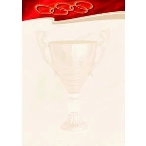 Galeria papieru Argo DIPLOMA SPORT 170g 25ARK PAPIER GALLERY - 212317