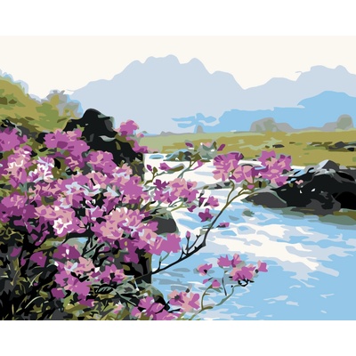 ZUTY Malování podle čísel ROZKVETLÉ KVĚTINY U ŘEKY 40 x 50 cm