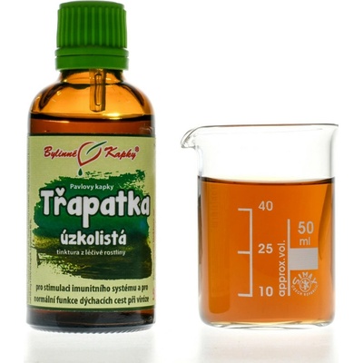 Bylinné kapky Echinacea angustifolia echinacea úzkolistá kvapky Duša rastlín tinktúra 50 ml