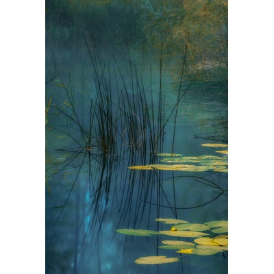 Plagát, Obraz - Aqua, Andreas Agazzi, 26.7 × 40 cm