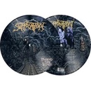 Suffocation Pierced From Within Picture LP