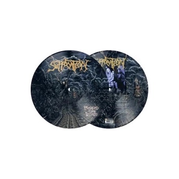 Suffocation Pierced From Within Picture LP