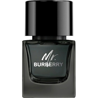 Burberry Mr Burberry Black parfémovaná voda pánská 100 ml