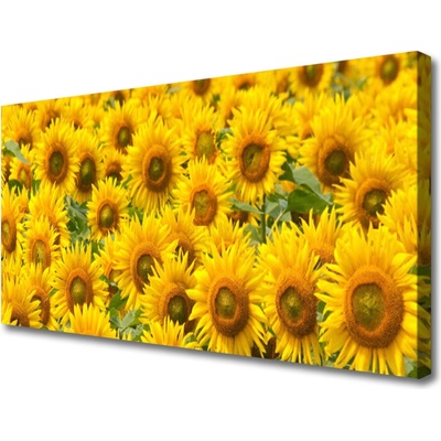 Obraz na plátne Slunecznice rastlina 100x50 cm