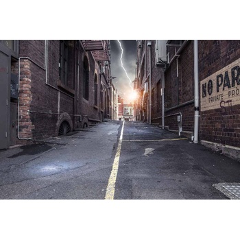 DIMEX ART s. r. o Флизелинов фототапет стара алея 375 x 250 см