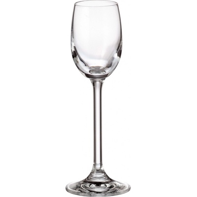 Crystalite Bohemia sklenice na likér Colibri 6 x 65 ml