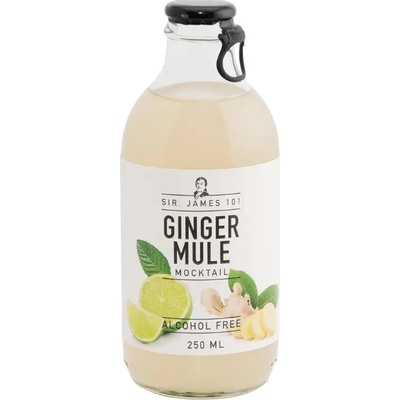 SIR. JAMES 101 Ginger Mule nealko koktejl 0,0 % 0,25 l (holá láhev)
