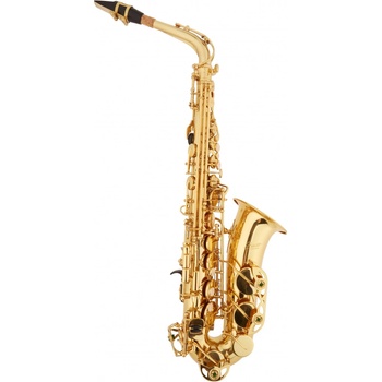 Bacio Instruments SA-01L