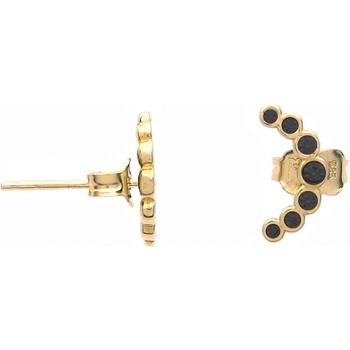 Šperk Holíč zlaté náušnice kamienkové ZN96