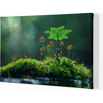 Obraz na plátně - Houbičky na mechové planině FeelHappy.cz Rozměr obrazu (Šířka x Výška): 90 x 60 cm