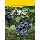 Vinič v záhrade