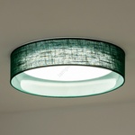 Duolla - LED Плафониера ROLLER LED/24W/230V Ø 45 см зелен (DU605403)