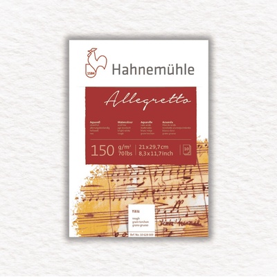 Hahnemühle ALLEGRETTO 150 GSM ROUGH 10 listov A4